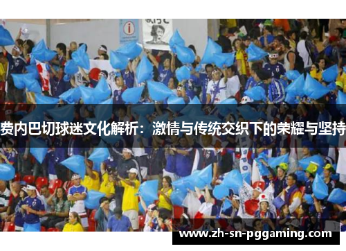 费内巴切球迷文化解析：激情与传统交织下的荣耀与坚持