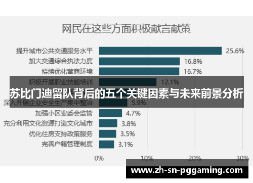 苏比门迪留队背后的五个关键因素与未来前景分析
