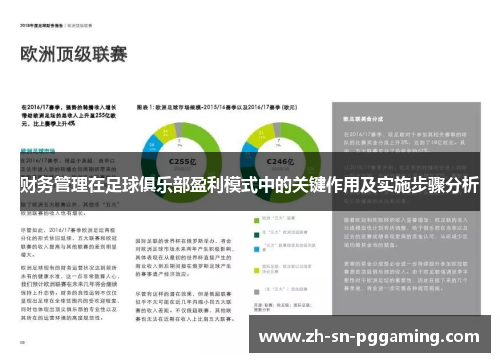 财务管理在足球俱乐部盈利模式中的关键作用及实施步骤分析