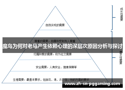 魔鸟为何对老马产生依赖心理的深层次原因分析与探讨