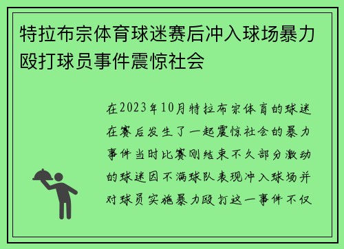 特拉布宗体育球迷赛后冲入球场暴力殴打球员事件震惊社会 特拉布宗体育球迷赛后冲入球场暴力殴打球员事件震惊社会